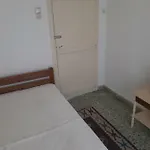 Avli