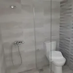 Avli Hébergement de vacances *