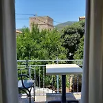Avli