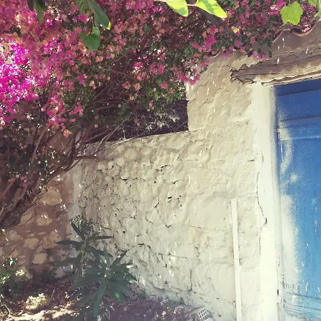 Avli كارداميلي